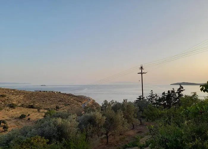 Silver View